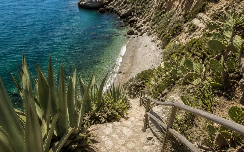 Stone path winding down between agaves to a pebble cove